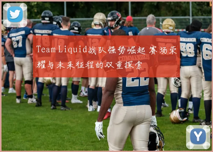 Team Liquid战队强势崛起 赛场荣耀与未来征程的双重探索