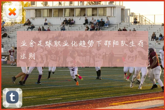 业余足球职业化趋势下邵阳队生存法则
