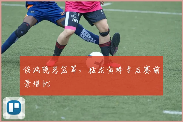 伤病隐患笼罩，猛龙黄蜂季后赛前景堪忧